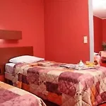 Camelia International 2*