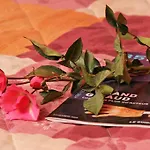 Hotel Camelia International Paris