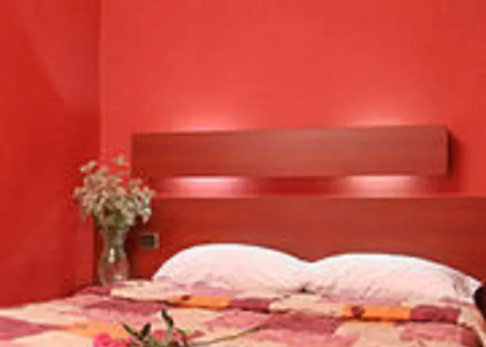 Camelia International 2*