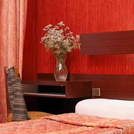 Hotel Camelia International