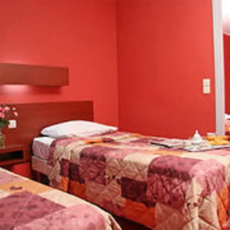 Camelia International