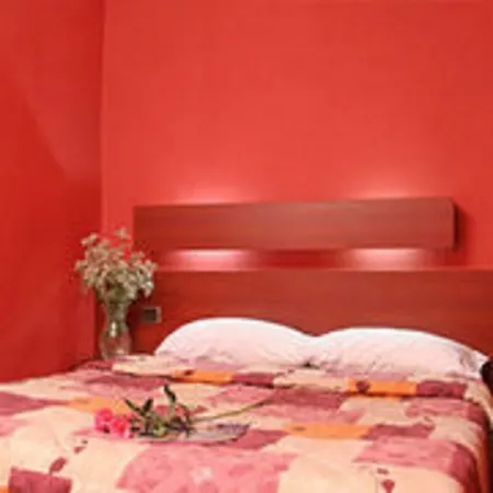 Camelia International 2*
