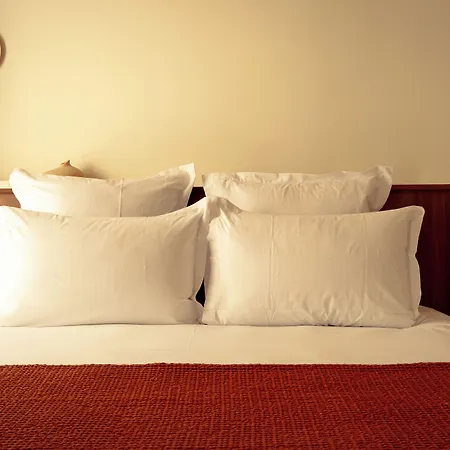 Hotel Camelia International Paris