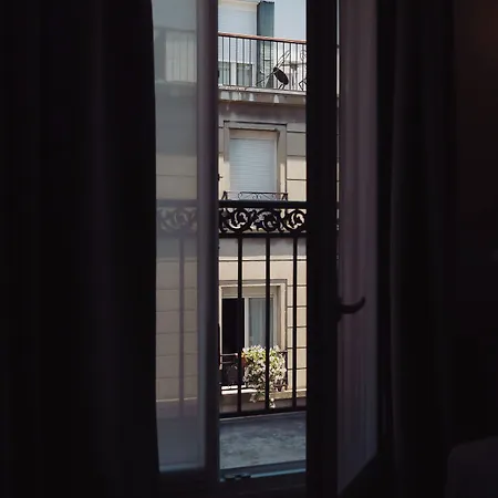 Camelia International Paris