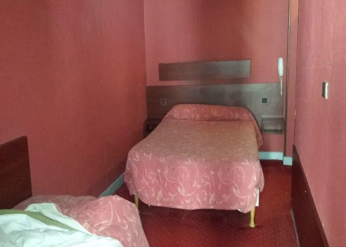 Camelia International Hotel