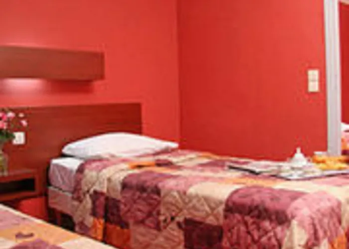 Camelia International