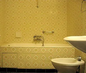 Hotel Camelia International